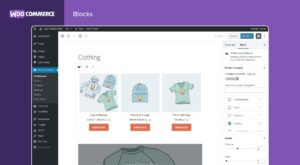 Woocommerce Avantages et Inconvénients
