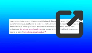 WordPress plugins liens internes