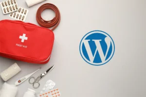Réparer bug WordPress