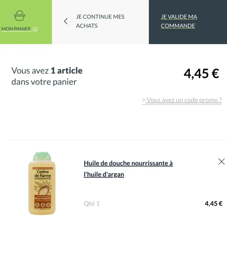 Corine-de-Farme-Panier-768x878