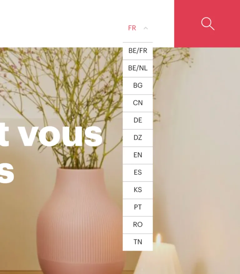 Schneider-Multilingue-768x878