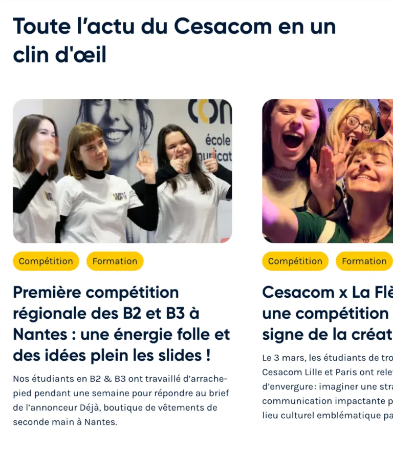 Cesacom-Blog-768x878