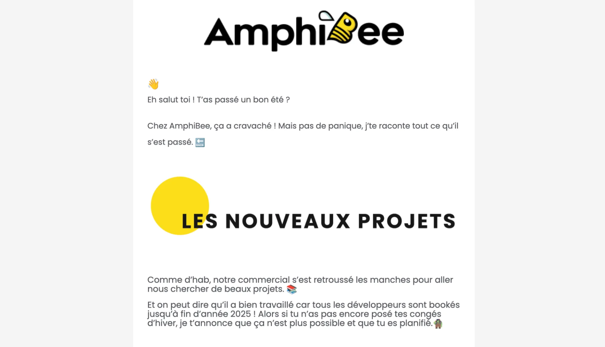 Newsletter AmphiBee - Desktop