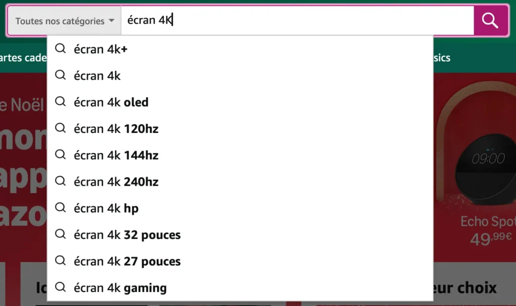 Moteur de recherche interne - Exemple d'autocompletion