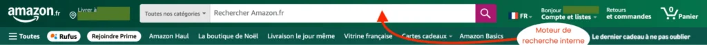 Moteur de recherche interne - qu'est ce que c'est