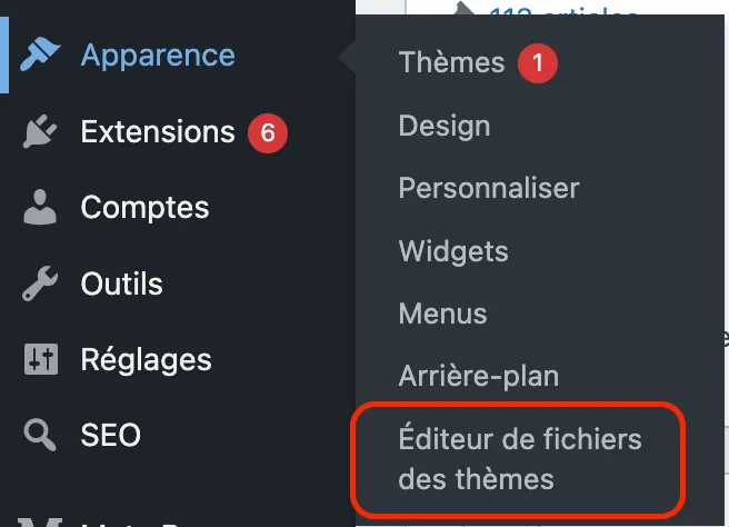 Installer GTM sur WordPress - Accéder à l'éditeur de thème