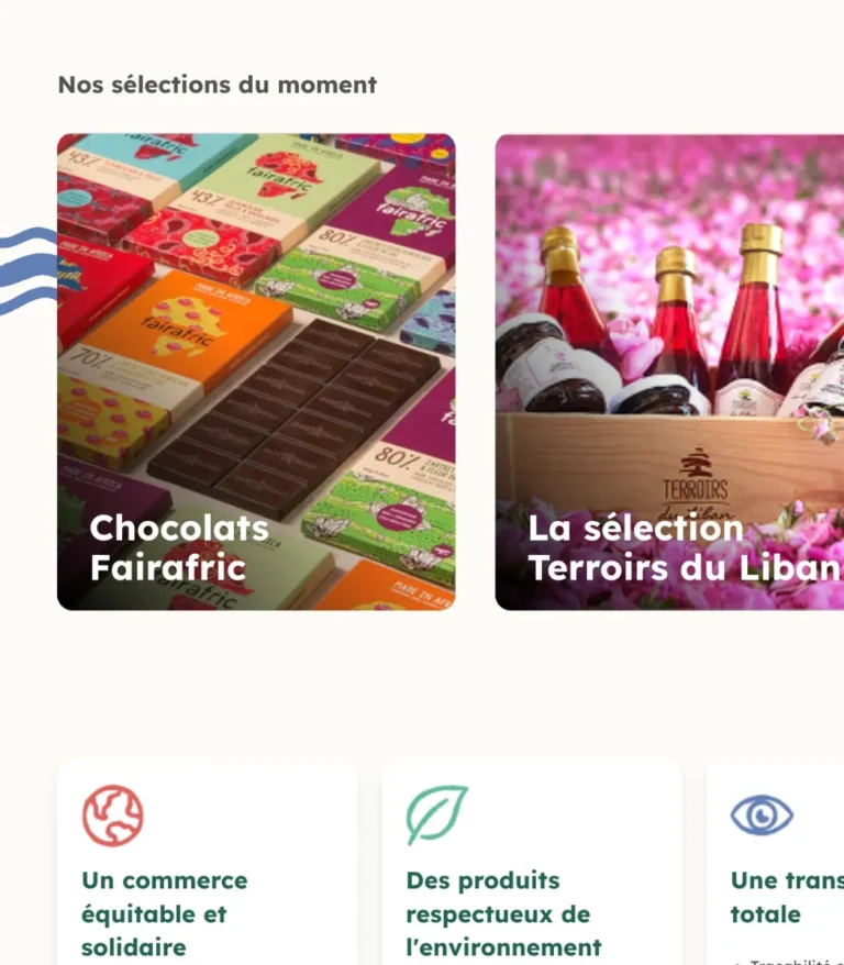 Solidar Monde - Gestion