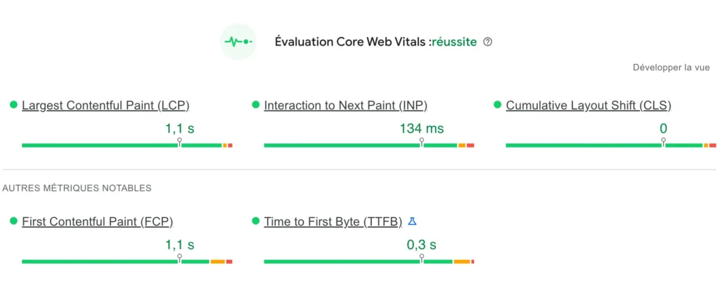 Exemple Core Web Vitals - AmphiBee