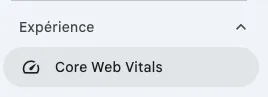Core Web Vitals WordPress - Onglet dans la Search Console